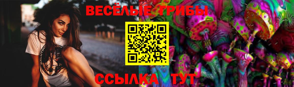 Галлюциногенные грибы мицелий  Вход с VPN  Малоярославец  Галлюциногенные грибы MAGIC MUSHROOMS 